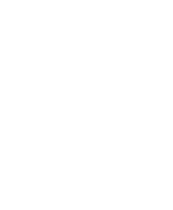 Logo Lynxter