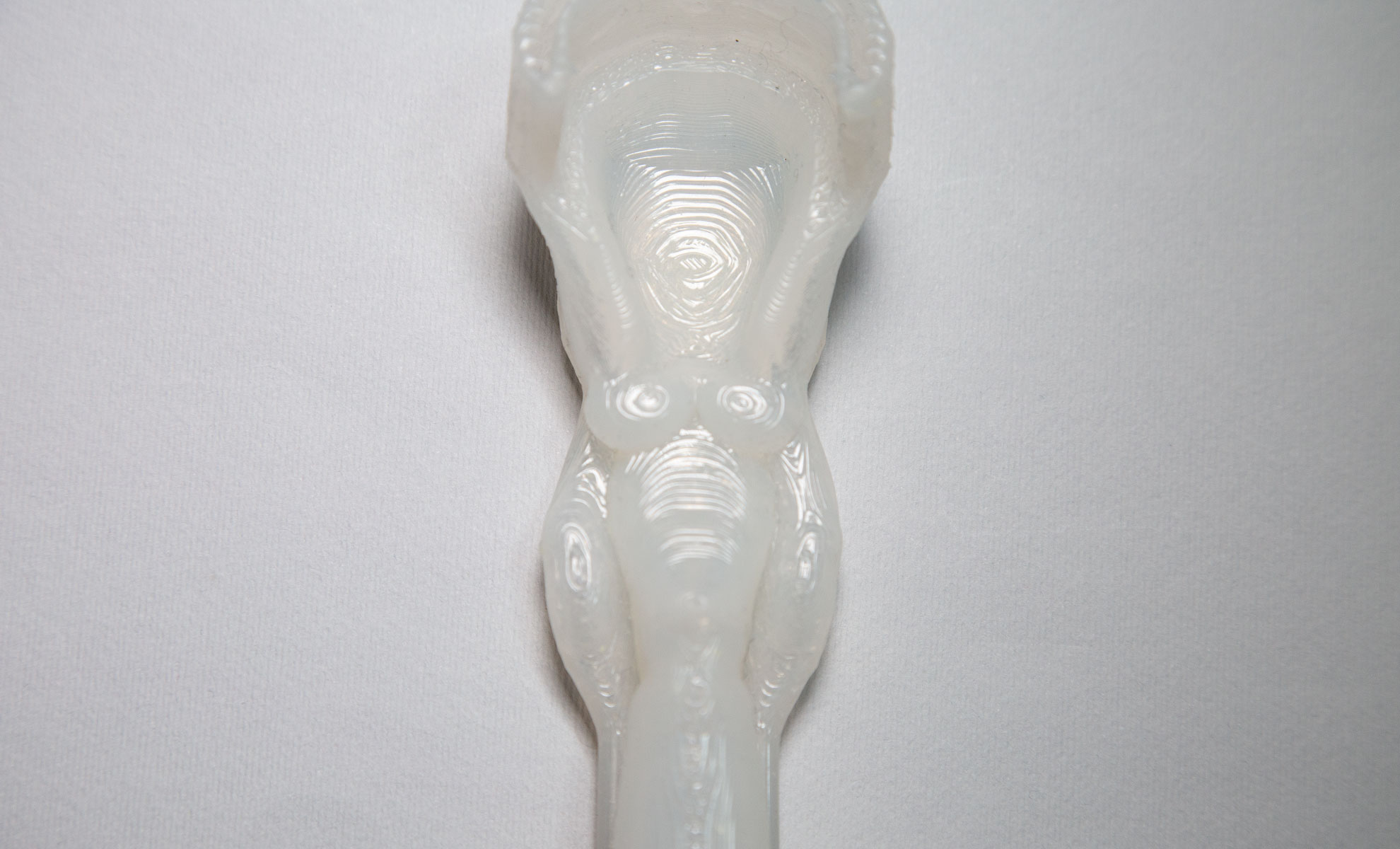 Close-up of the pharyngolarynx printed by the S300X for the Swall-E physical simulator